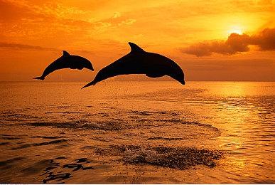 媒体称育碧多名高级开发人员离职 已影响游戏开发